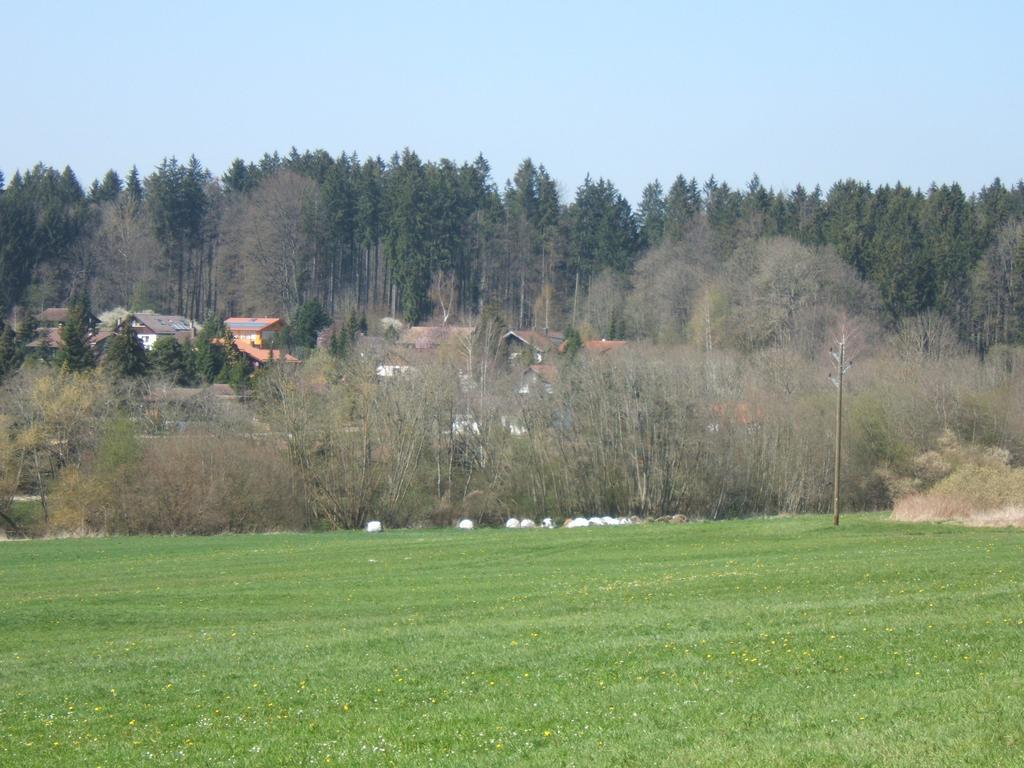 Ferienwohnung Schwahn Kleinschonach Eksteriør billede